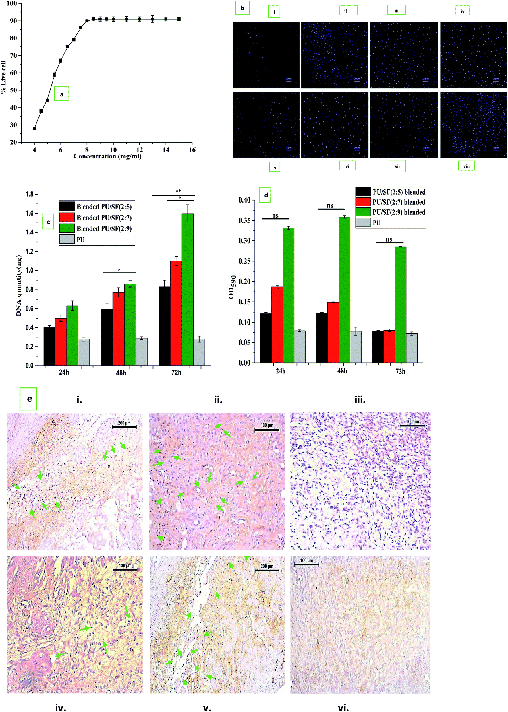 Immunomodulatory and antimicrobial nonmulberry Antheraea mylitta silk