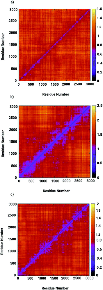 Exploring interfacial dynamics in homodimeric S -ribosylhomocysteine ...