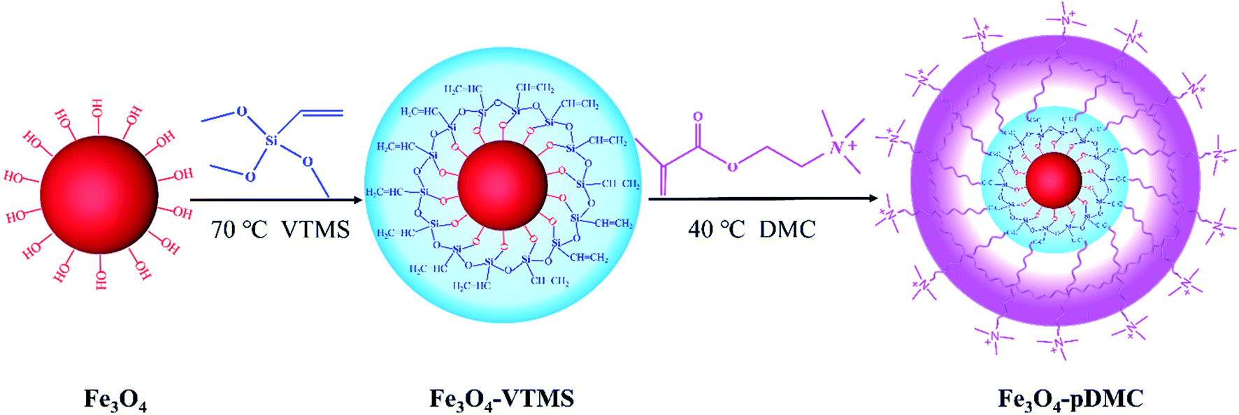 Novel Fe 3 O 4 –poly(methacryloxyethyltrimethyl ammonium chloride ...