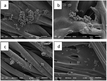 Microencapsulation of lime ( Citrus aurantifolia ) oil for ...