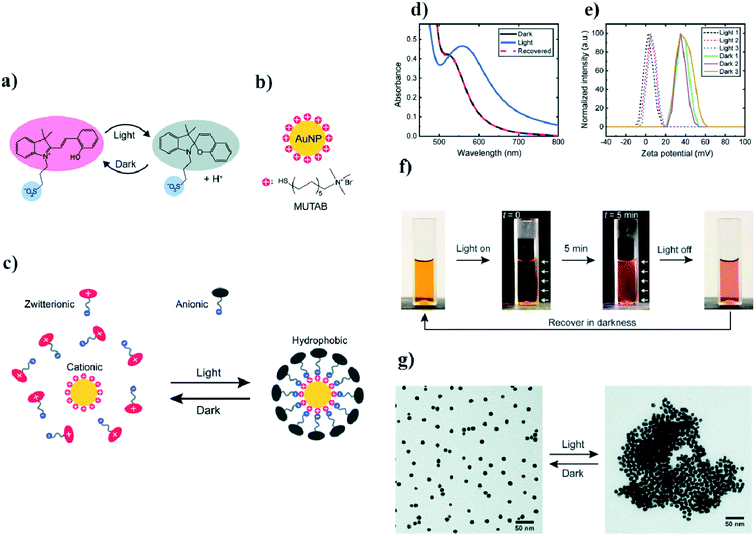 Photo-assembly of plasmonic nanoparticles: methods and applications ...