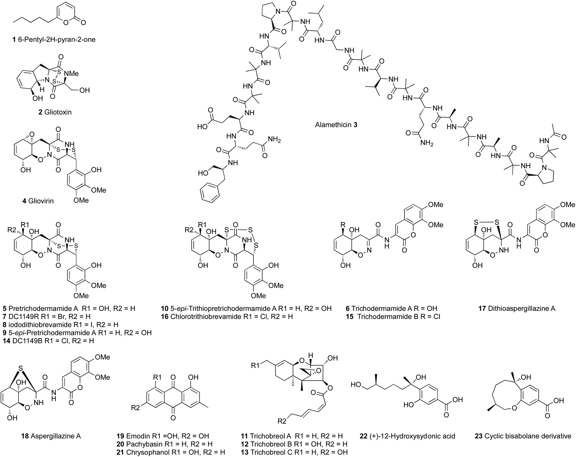 Molecular Methods Unravel The Biosynthetic Potential Of Trichoderma Species Rsc Advances Rsc Publishing