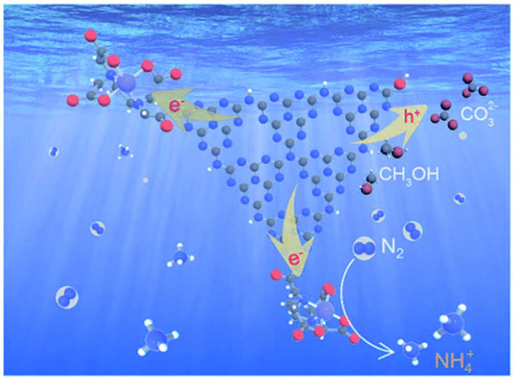 Recent advances in photocatalytic nitrogen fixation: from active sites ...