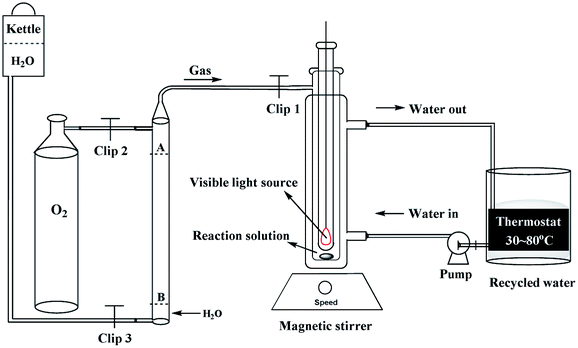 Highly efficient and tunable visible-light-catalytic synthesis of 2,5 ...