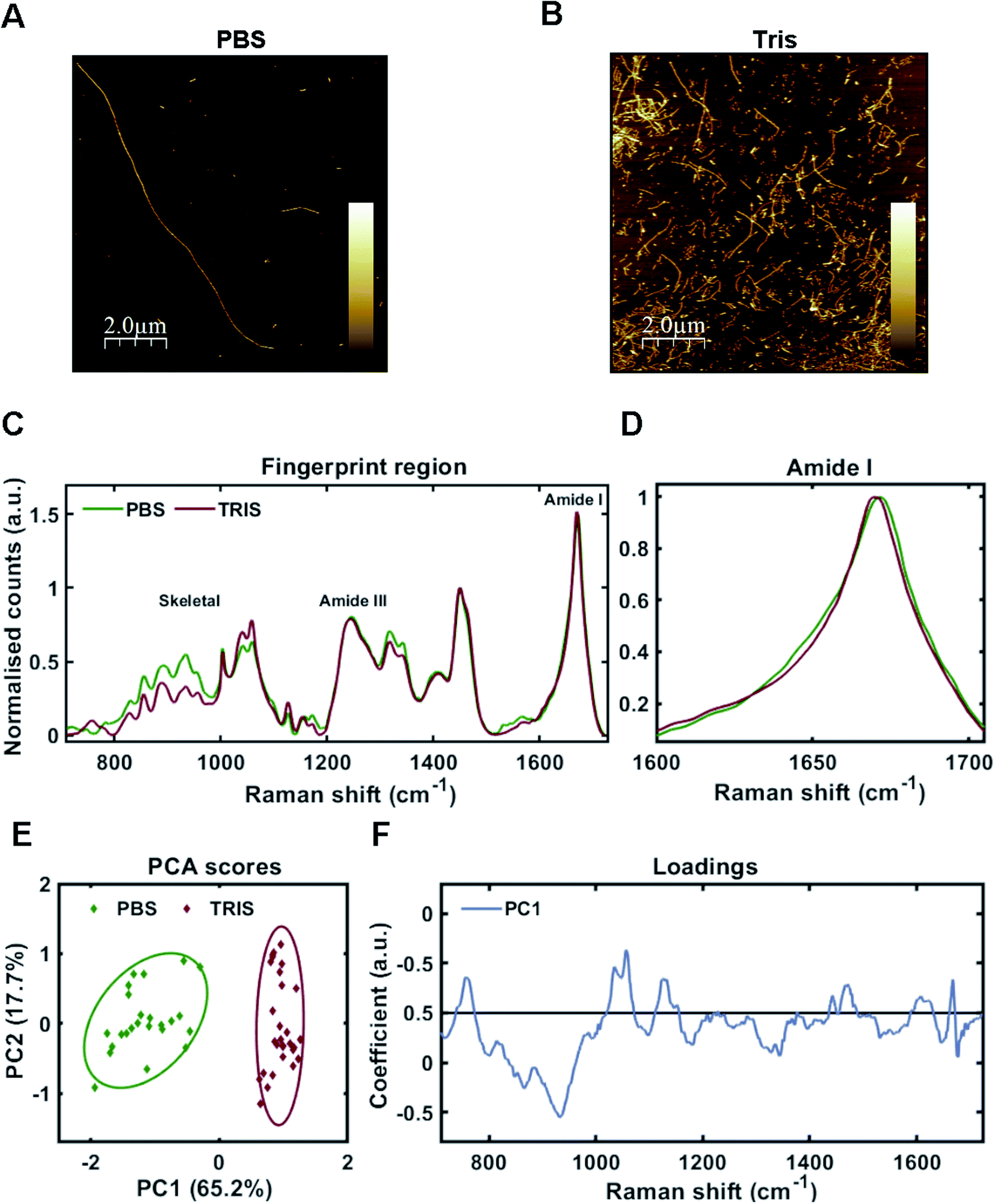 Conformational Fingerprinting Of Tau Variants And Strains By Raman Spectroscopy Rsc Advances 4616