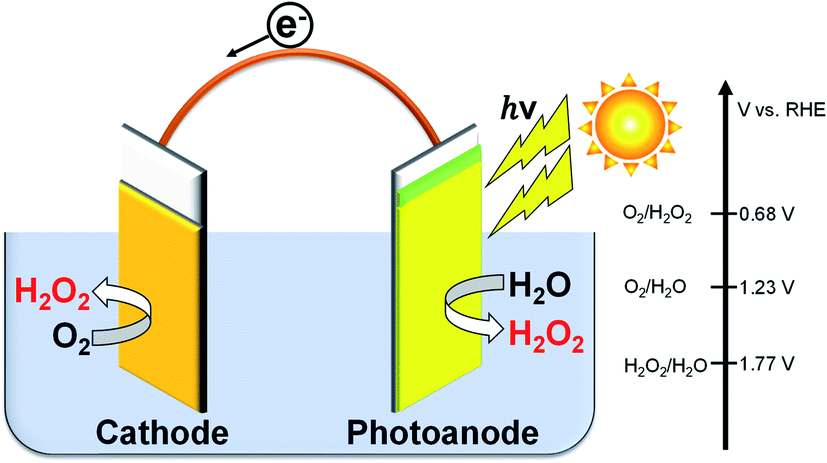 H2o2 Production On A Carbon Cathode Loaded With A Nickel Carbonate Catalyst And On An Oxide Photoanode Without An External Bias Rsc Advances Rsc Publishing