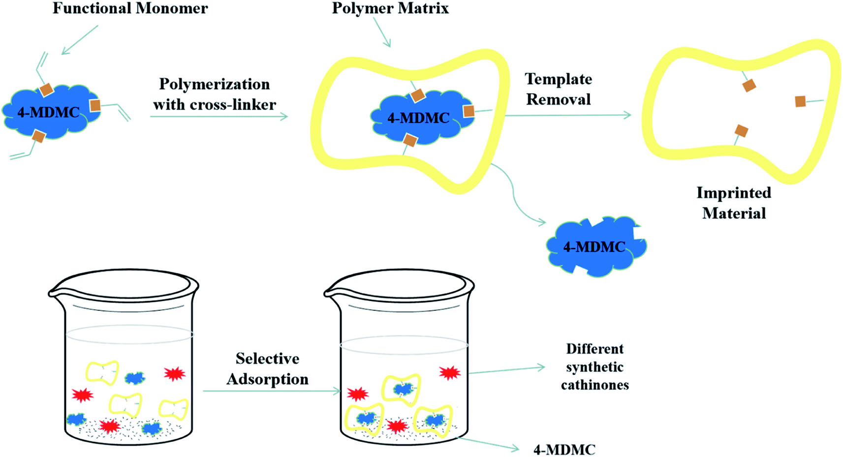 Synthesis, Characterization, And Evaluation Of Selective Molecularly ...