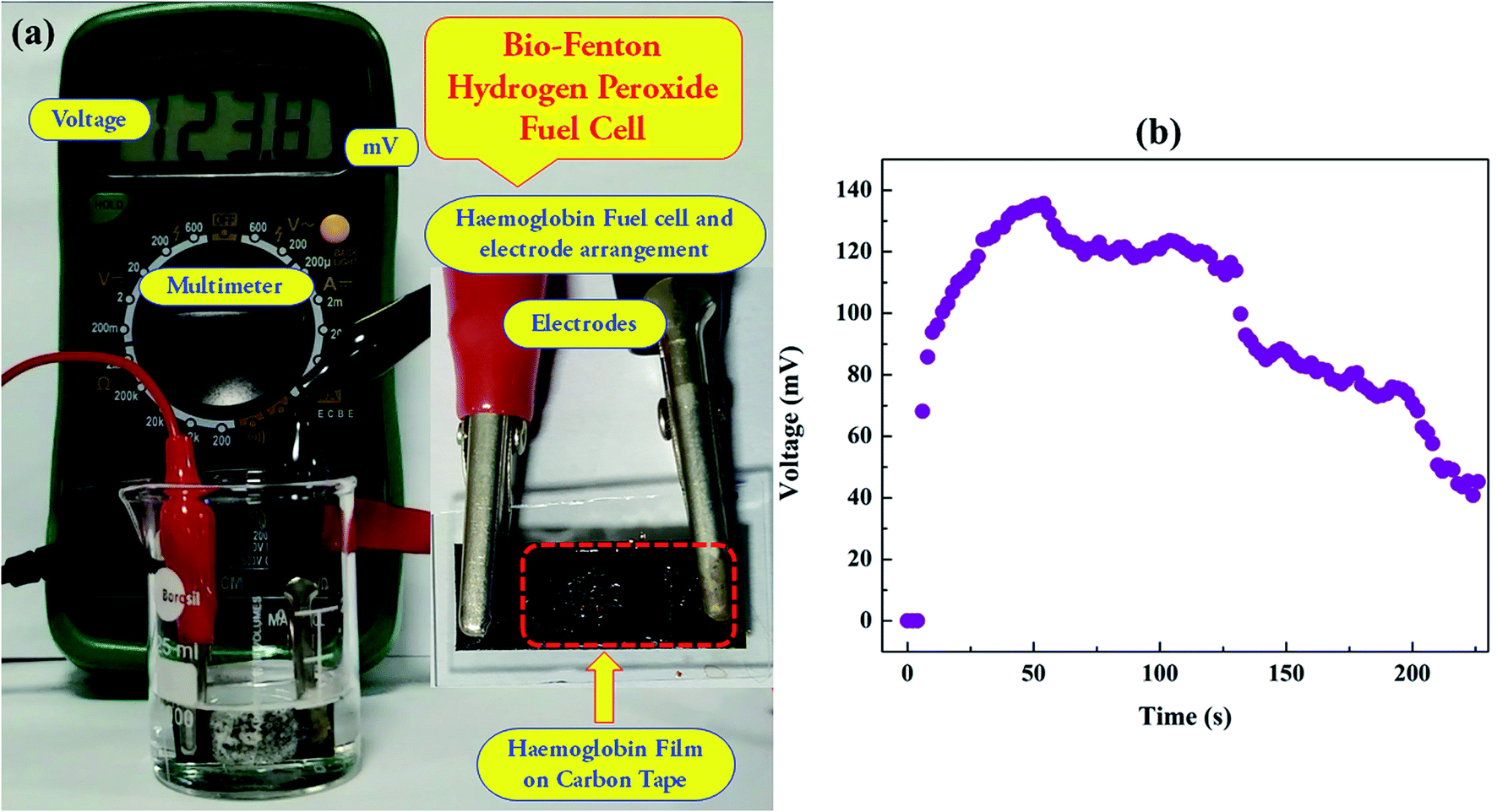Proton exchange membrane and bioFenton micro fuel cells for energy