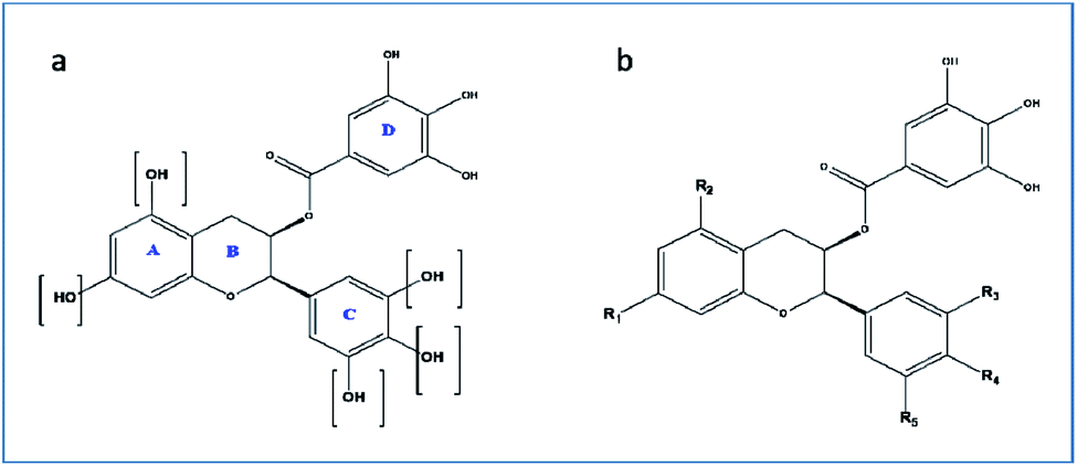 Identification Of 2r 3r 2 3 4 Dihydroxyphenyl Chroman 3 Yl 3 4 5 Trihydroxy Benzoate As