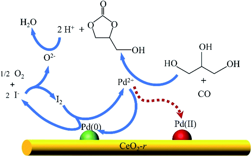A Highly Efficient Rod Like Ceo2 Supported Palladium Catalyst For The Oxidative Carbonylation Of Glycerol To Glycerol Carbonate Rsc Advances Rsc Publishing