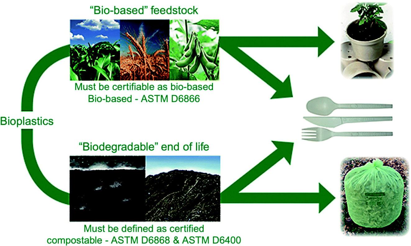 Poly Lactic Acid Pla And Polyhydroxyalkanoates Phas Green Alternatives To Petroleum Based Plastics A Review Rsc Advances Rsc Publishing