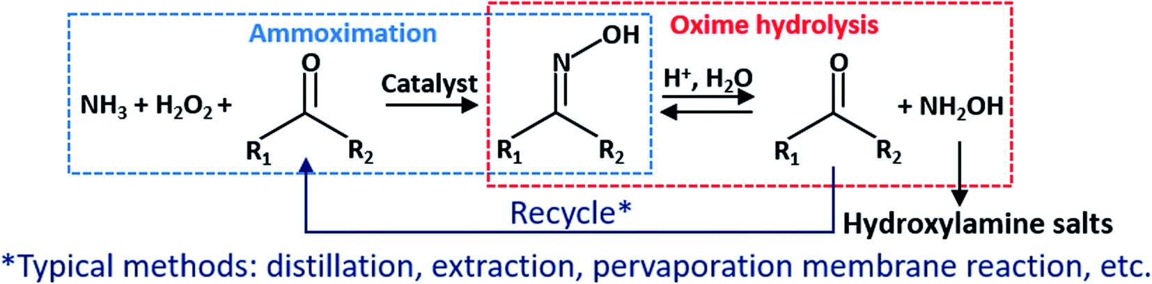 A coupling process of electrodialysis with oxime hydrolysis reaction ...