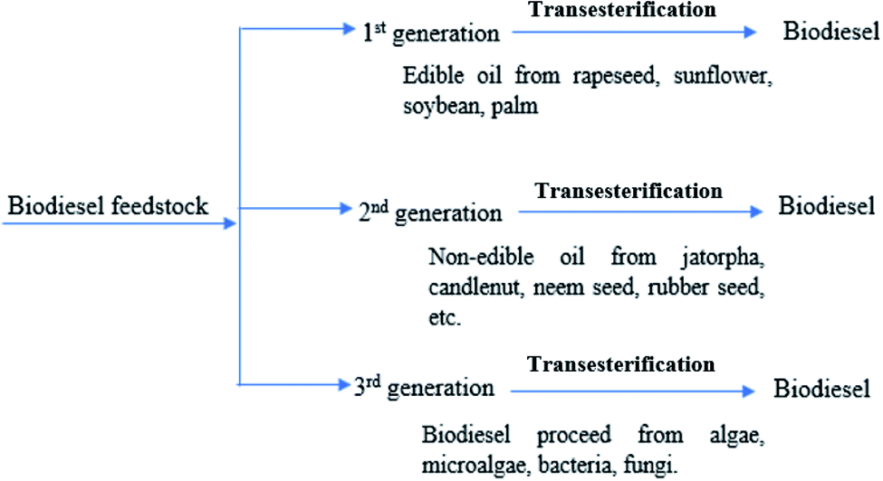 A review on non-edible oil as a potential feedstock for biodiesel ...
