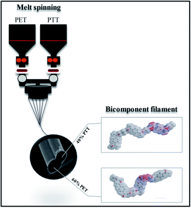 Ecological and cleaner process for dyeing bicomponent polyester ...
