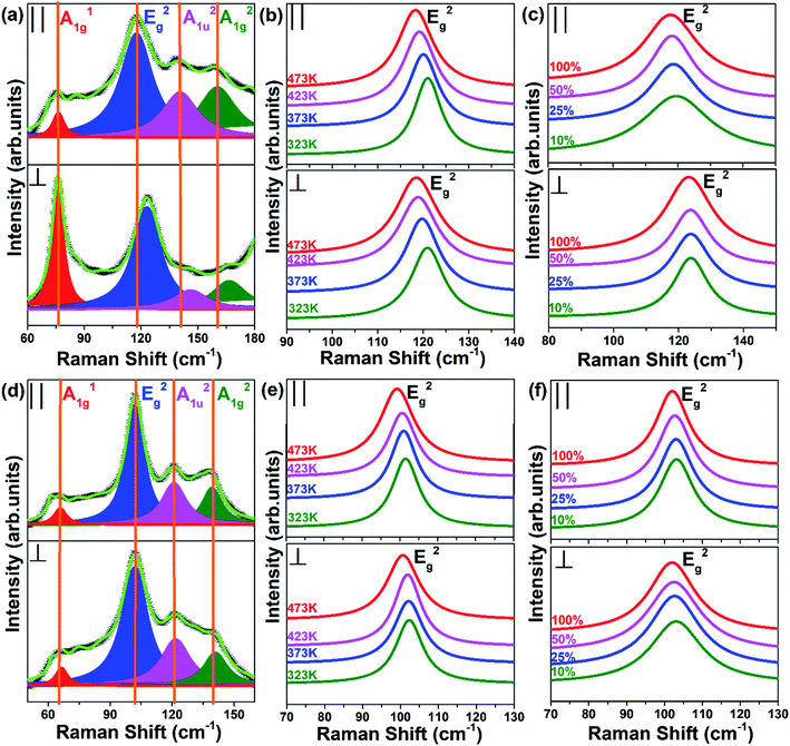 Study of anisotropic thermal conductivity in textured thermoelectric