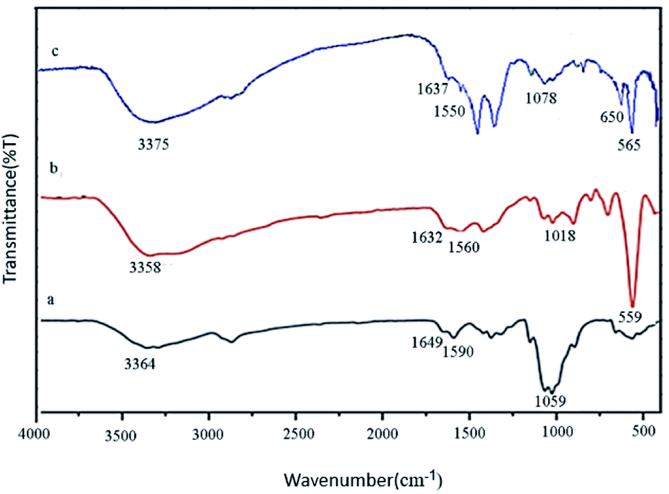 La(OH) 3 nanoparticles immobilized on Fe 3 O 4 @chitosan composites as ...