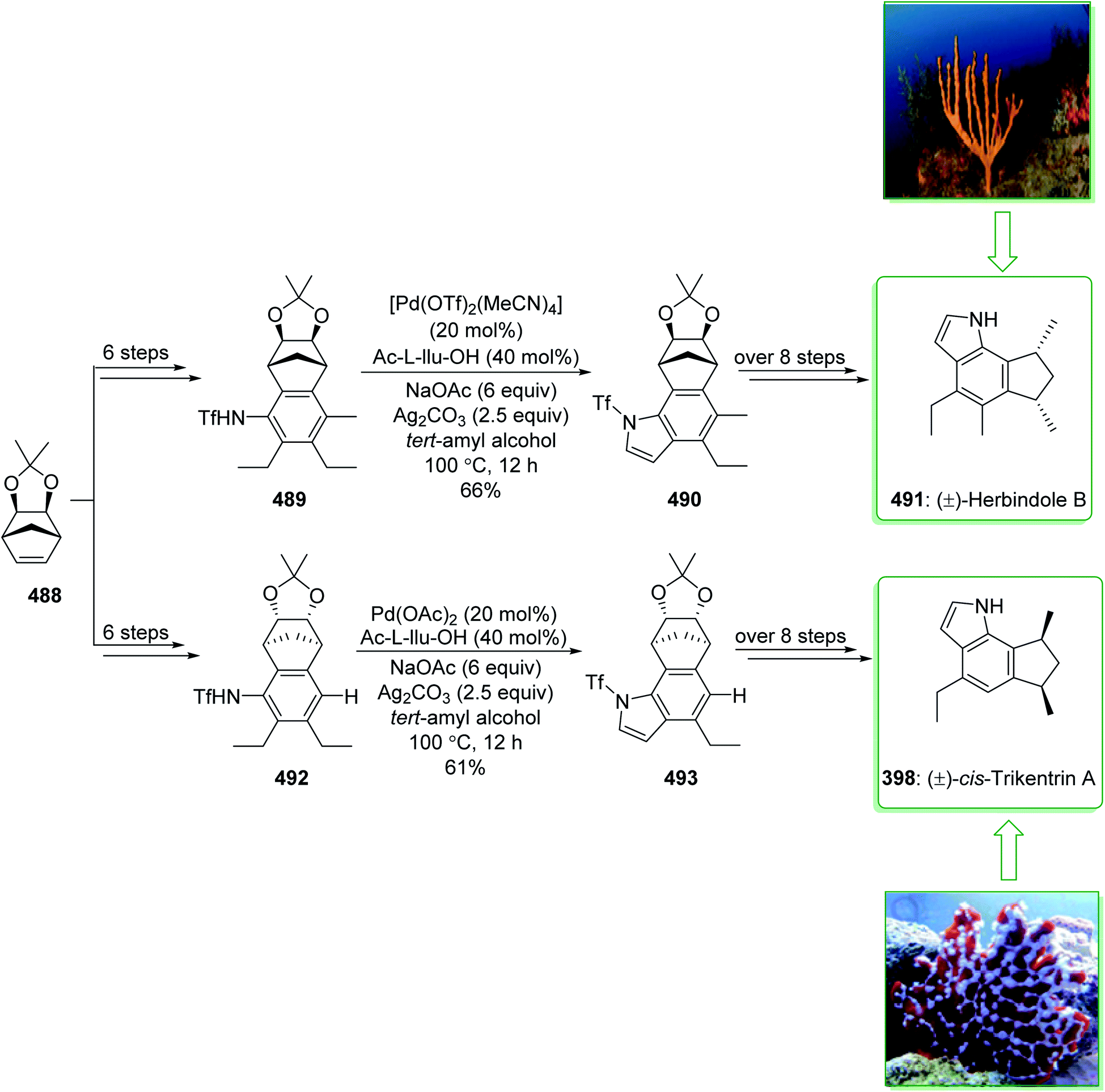 Synthesis of indole derivatives as prevalent moieties present in ...