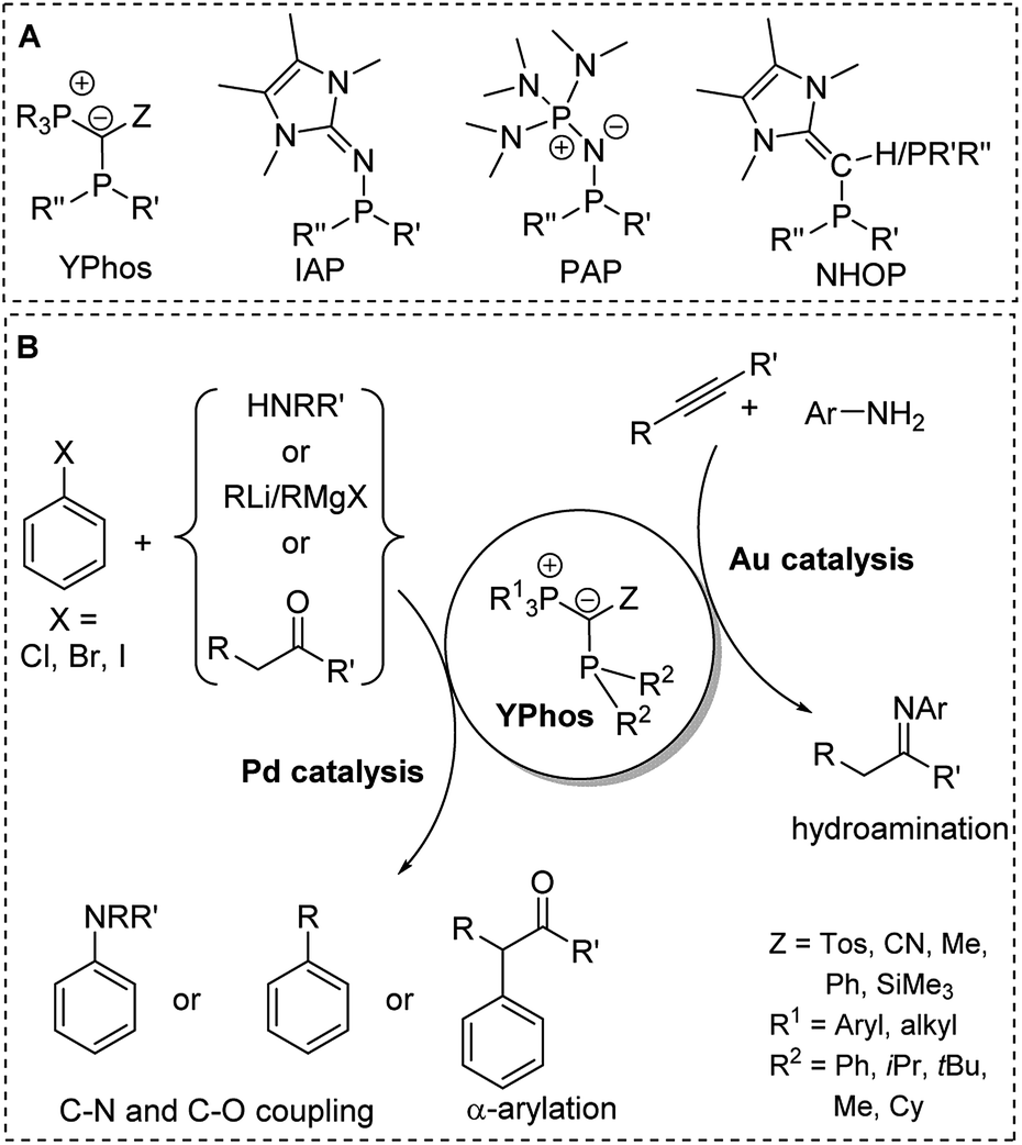 Phosphorus Ylides Powerful Substituents For The Stabilization Of Reactive Main Group Compounds Chemical Science Rsc Publishing