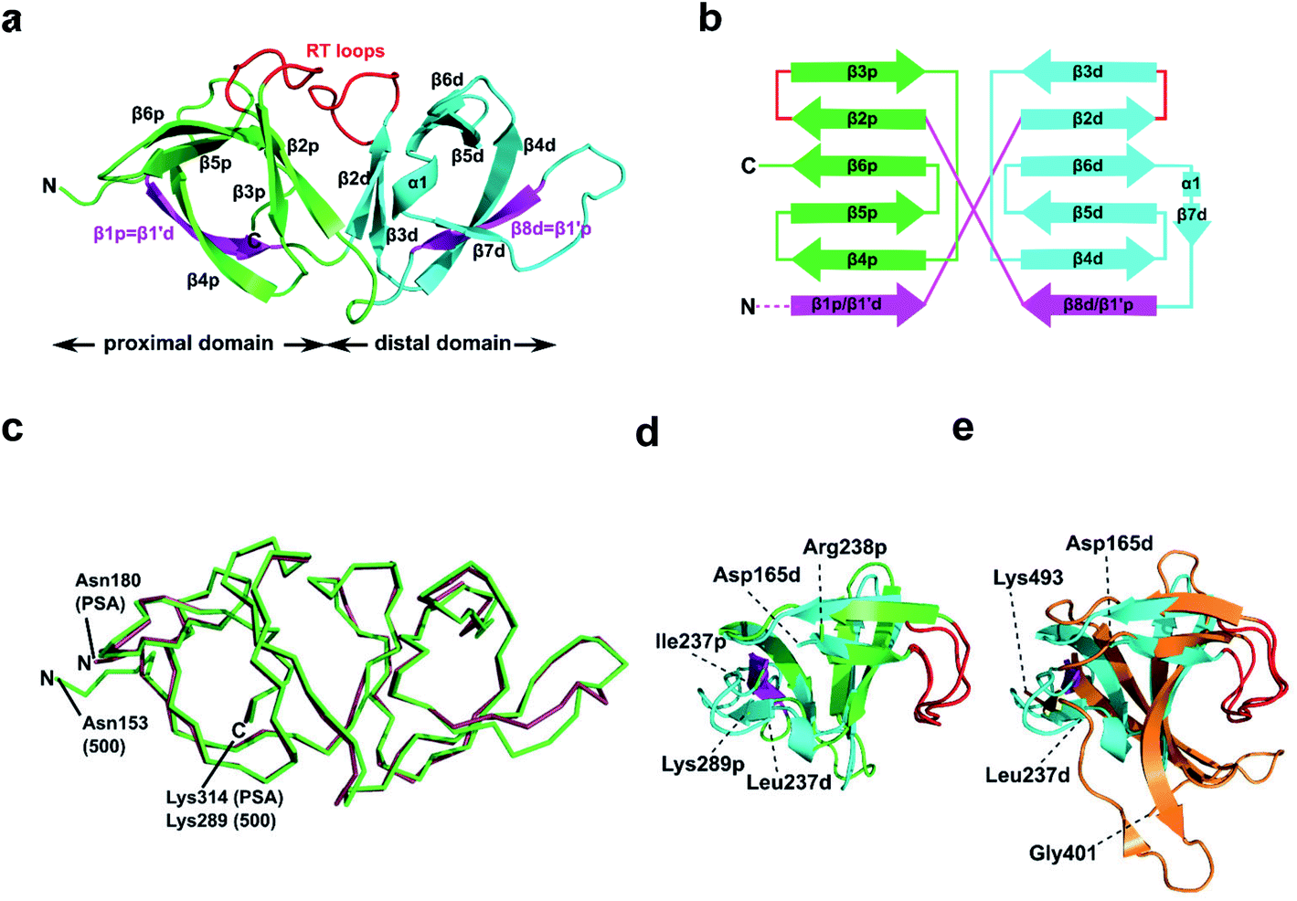 Structural Basis For Recognition Of Bacterial Cell Wall Teichoic Acid By Pseudo Symmetric Sh3b Like Repeats Of A Viral Peptidoglycan Hydrolase Chemical Science Rsc Publishing