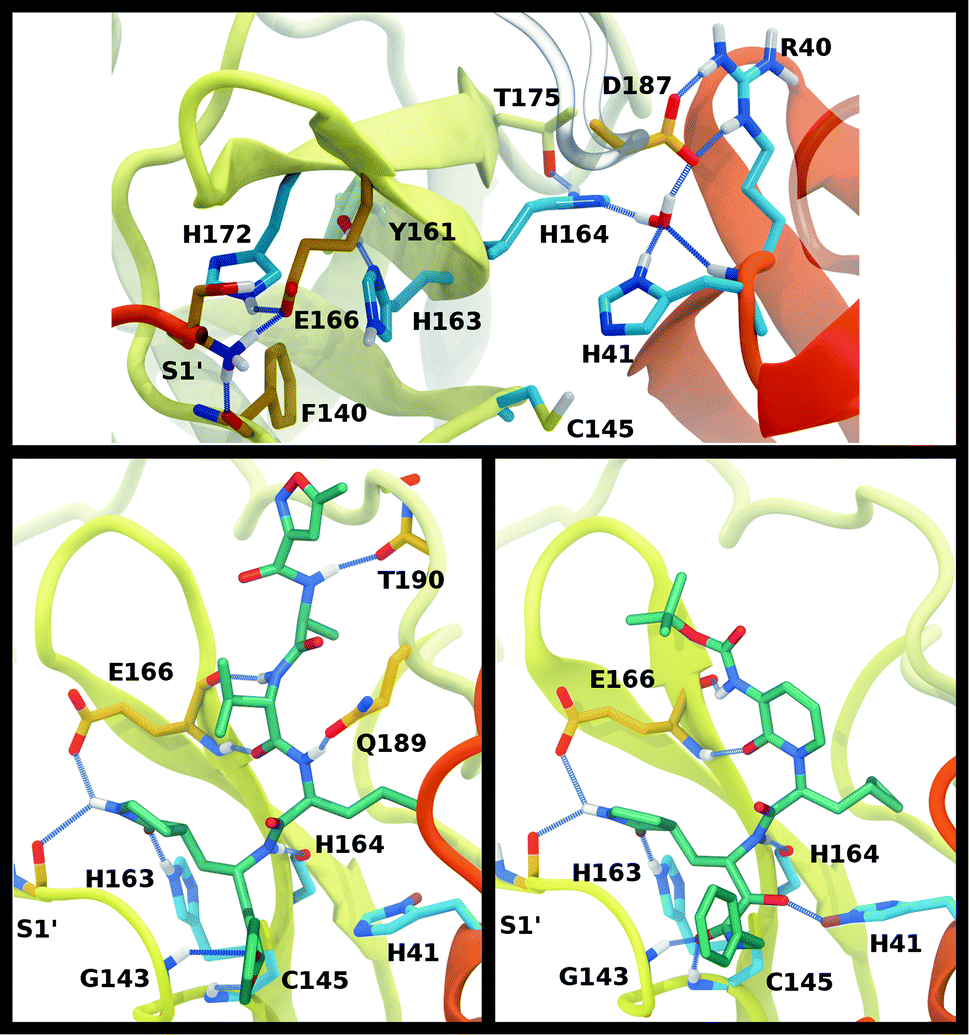 Inhibitor binding influences the protonation states of histidines in ...