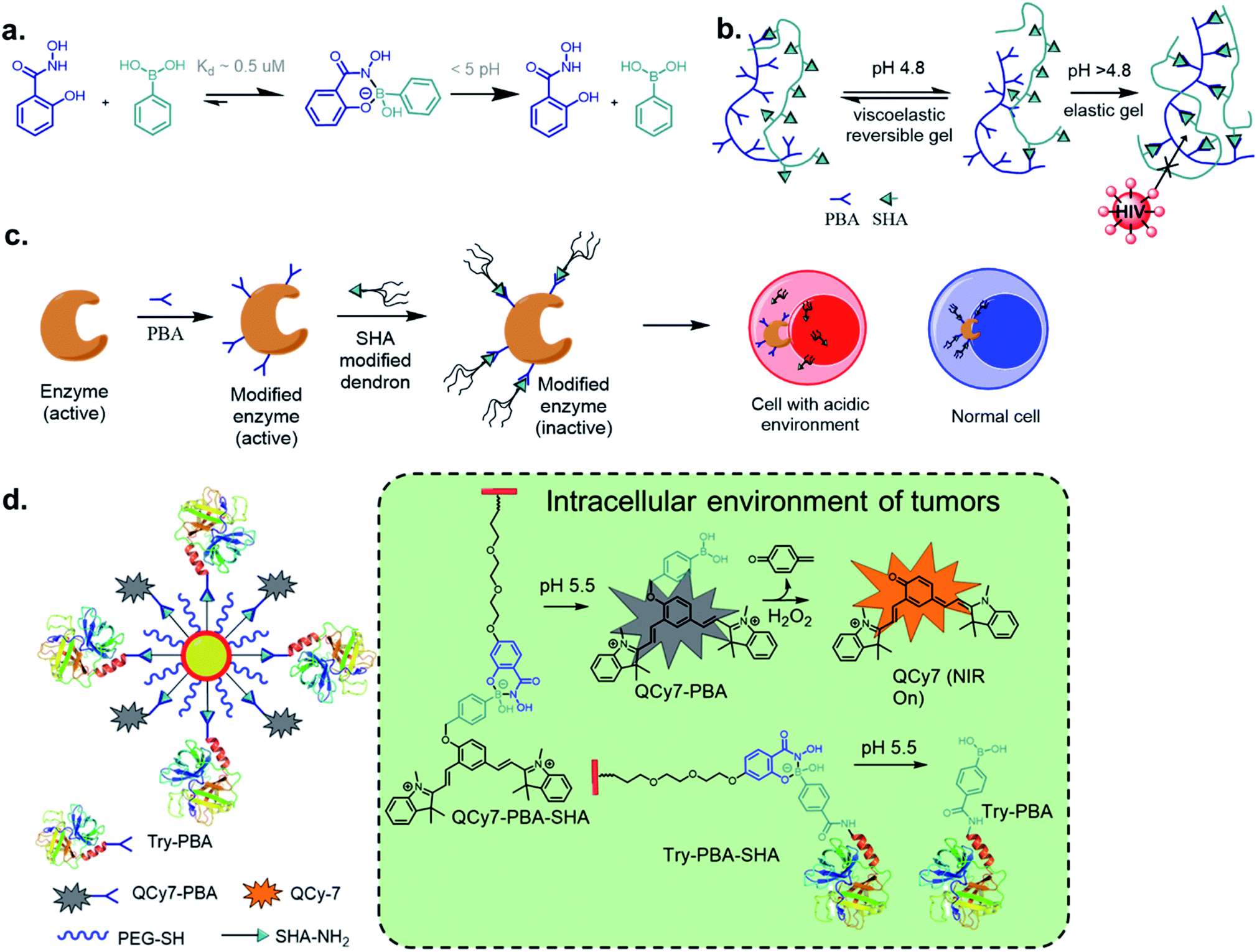 Boronic acid based dynamic click chemistry: recent advances and ...