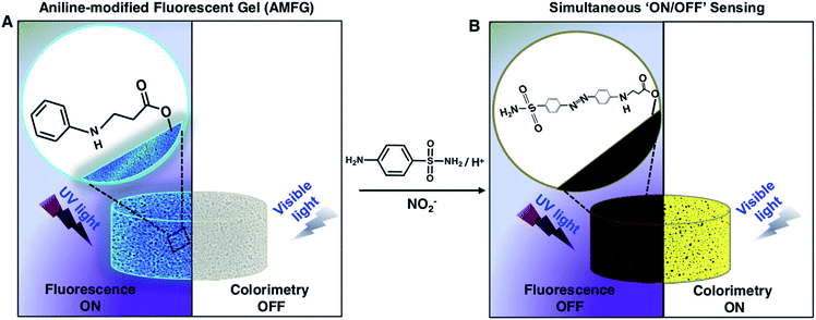 The synthesis of a chemically reactive and polymeric luminescent gel ...