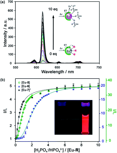 Advances in anion binding and sensing using luminescent lanthanide ...