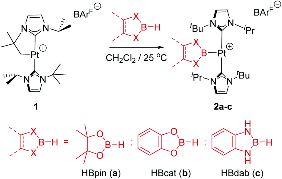 Reversible Carbon Boron Bond Formation At Platinum Centers Through S Bh Complexes Chemical Science Rsc Publishing