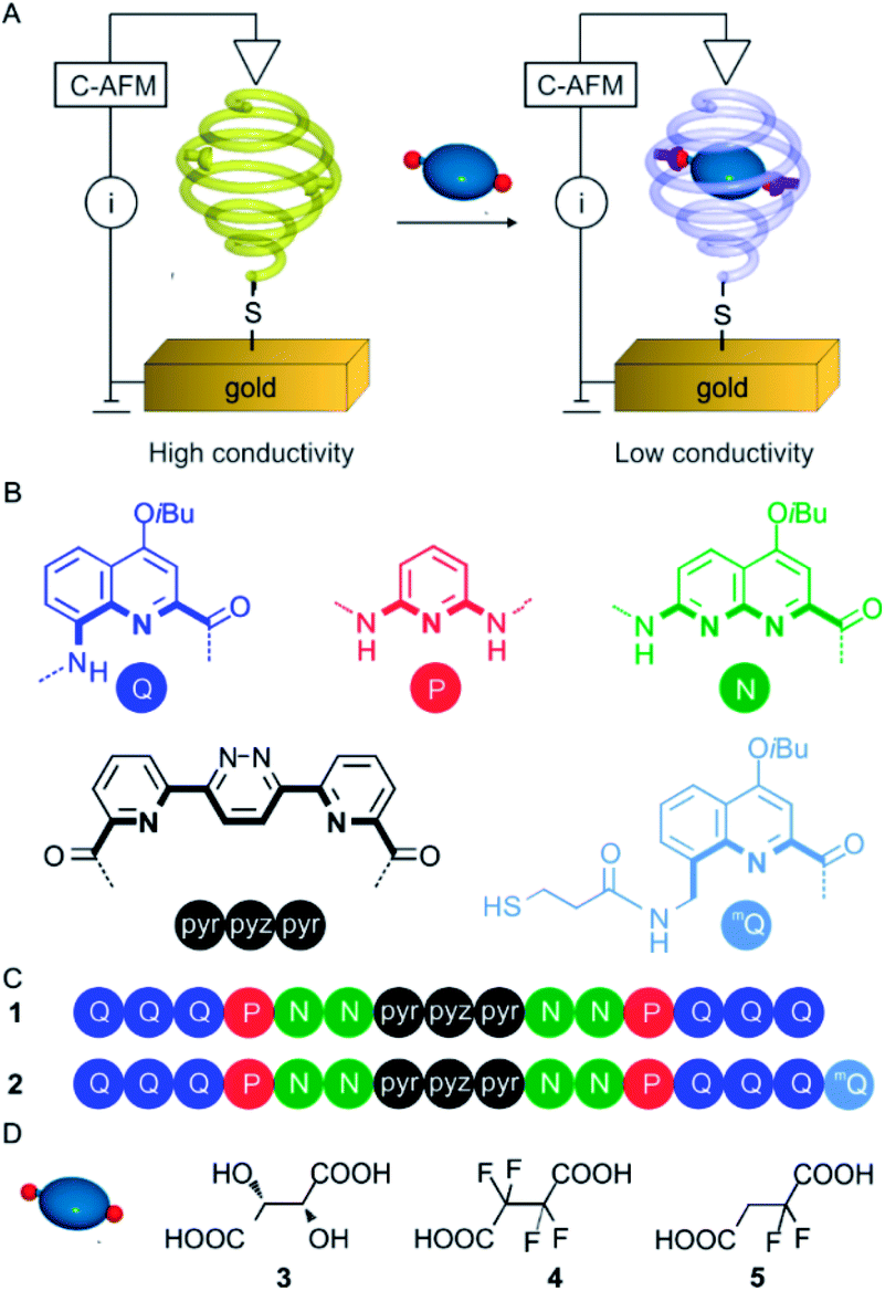 Sensing A Binding Event Through Charge Transport Variations Using An Aromatic Oligoamide Capsule Chemical Science Rsc Publishing