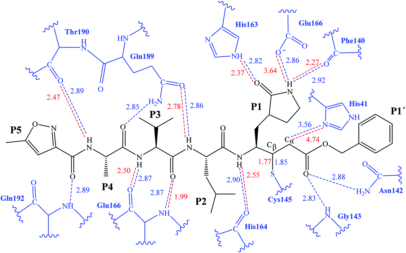 Mechanism Of Inhibition Of Sars Cov 2 Mpro By N3 Peptidyl Michael Acceptor Explained By Qm Mm Simulations And Design Of New Derivatives With Tunable Chemical Reactivity Chemical Science Rsc Publishing