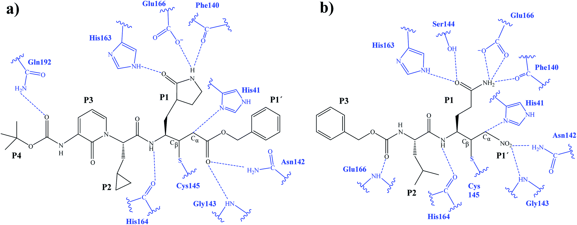 Mechanism Of Inhibition Of Sars Cov 2 Mpro By N3 Peptidyl Michael Acceptor Explained By Qm Mm Simulations And Design Of New Derivatives With Tunable Chemical Reactivity Chemical Science Rsc Publishing