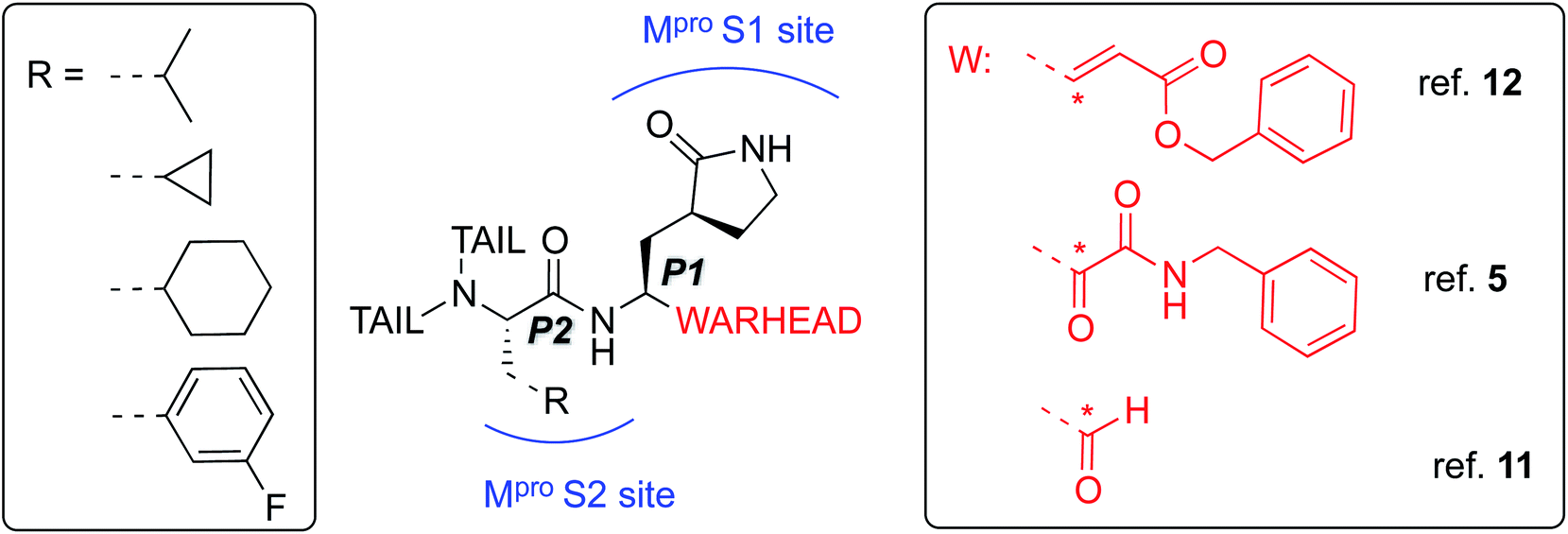 Mechanism Of Inhibition Of Sars Cov 2 Mpro By N3 Peptidyl Michael Acceptor Explained By Qm Mm Simulations And Design Of New Derivatives With Tunable Chemical Reactivity Chemical Science Rsc Publishing