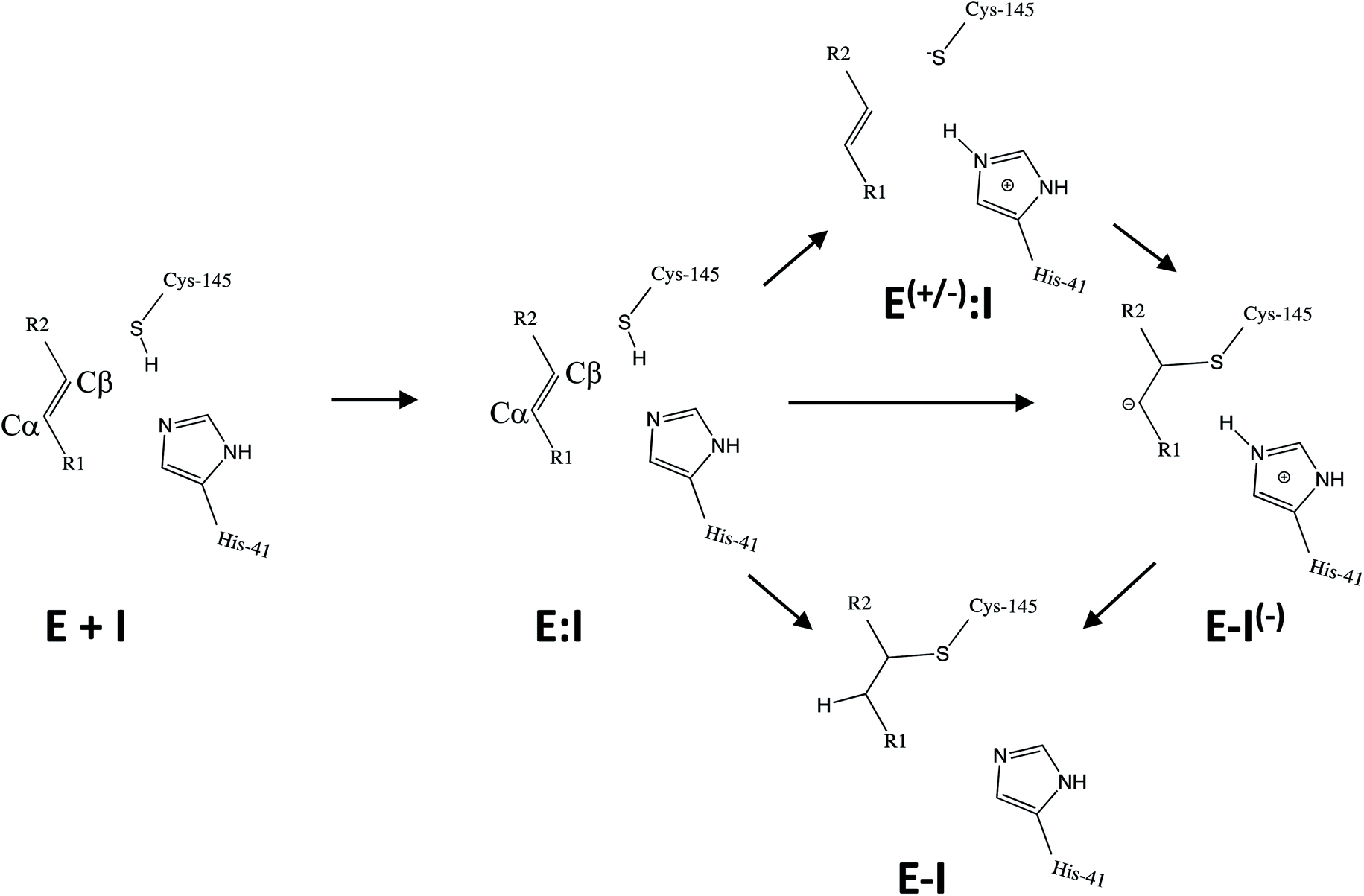 Mechanism Of Inhibition Of Sars Cov 2 Mpro By N3 Peptidyl Michael Acceptor Explained By Qm Mm Simulations And Design Of New Derivatives With Tunable Chemical Reactivity Chemical Science Rsc Publishing