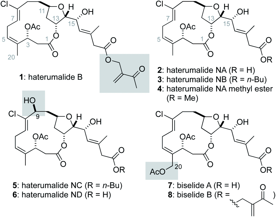 Total Synthesis Of Biselide A Chemical Science Rsc Publishing