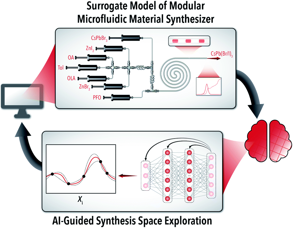 Accelerated AI development for autonomous materials synthesis in flow