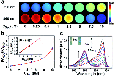 Design and synthesis of a ratiometric photoacoustic imaging probe ...