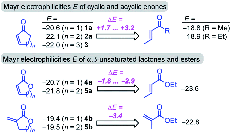 Electrophilic Reactivities Of Cyclic Enones And A B Unsaturated Lactones Chemical Science Rsc Publishing