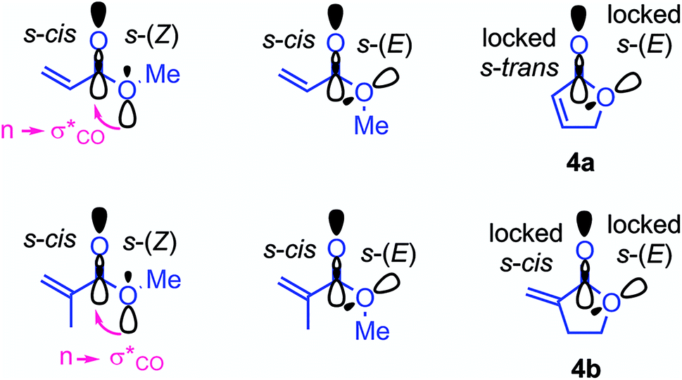 Electrophilic Reactivities Of Cyclic Enones And A B Unsaturated Lactones Chemical Science Rsc Publishing