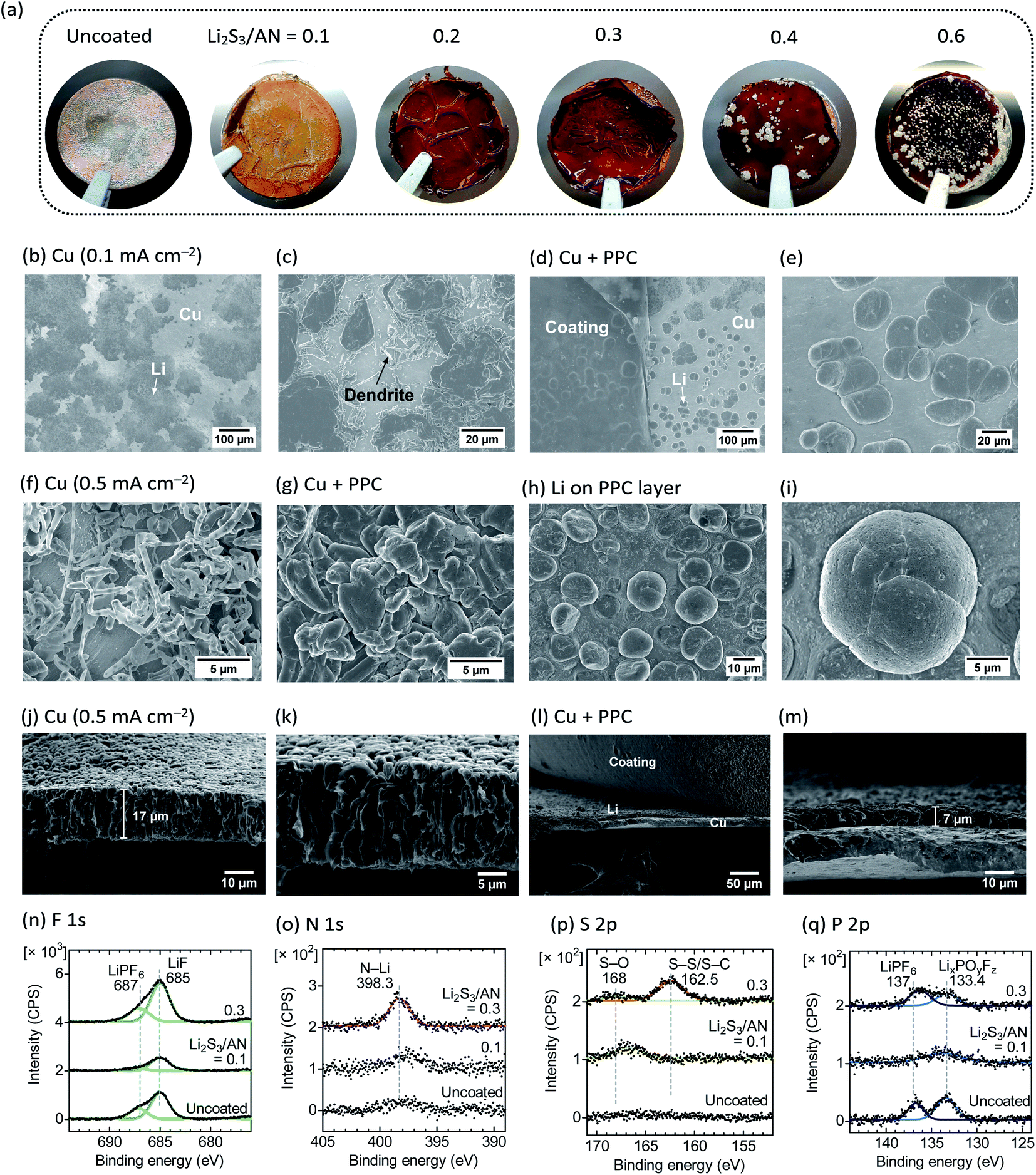 Quantification Of The Ion Transport Mechanism In Protective Polymer Coatings On Lithium Metal Anodes Chemical Science Rsc Publishing