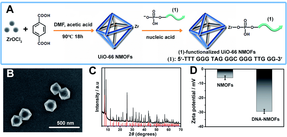 Multiplexed And Amplified Chemiluminescence Resonance Energy Transfer ...