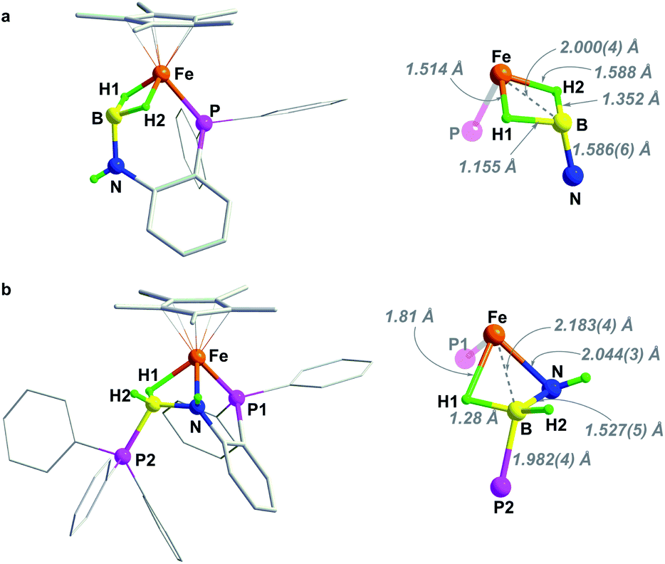 Dehydrogenation Of Iron Amido Borane And Resaturation Of The Imino Borane Complex Chemical Science Rsc Publishing