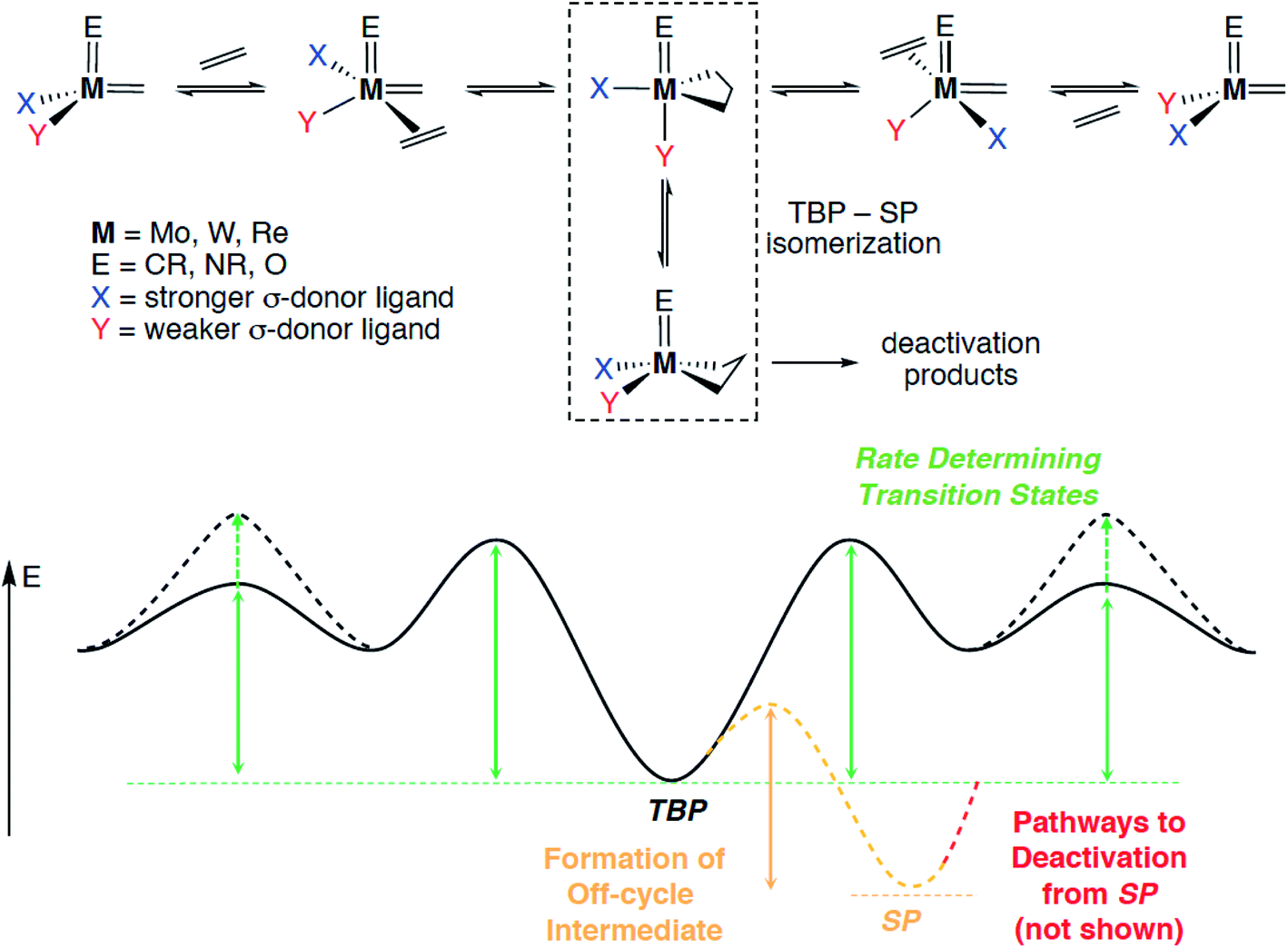 Olefin Metathesis What Have We Learned About Homogeneous And Heterogeneous Catalysts From Surface Organometallic Chemistry Chemical Science Rsc Publishing