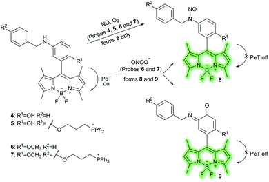 Fluorescent small organic probes for biosensing - Chemical Science (RSC ...