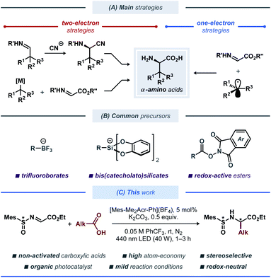 Development Of A Novel, Automated, Robot System For Fast, High-throughput, Identical, Solid-phase Peptide Synthesis