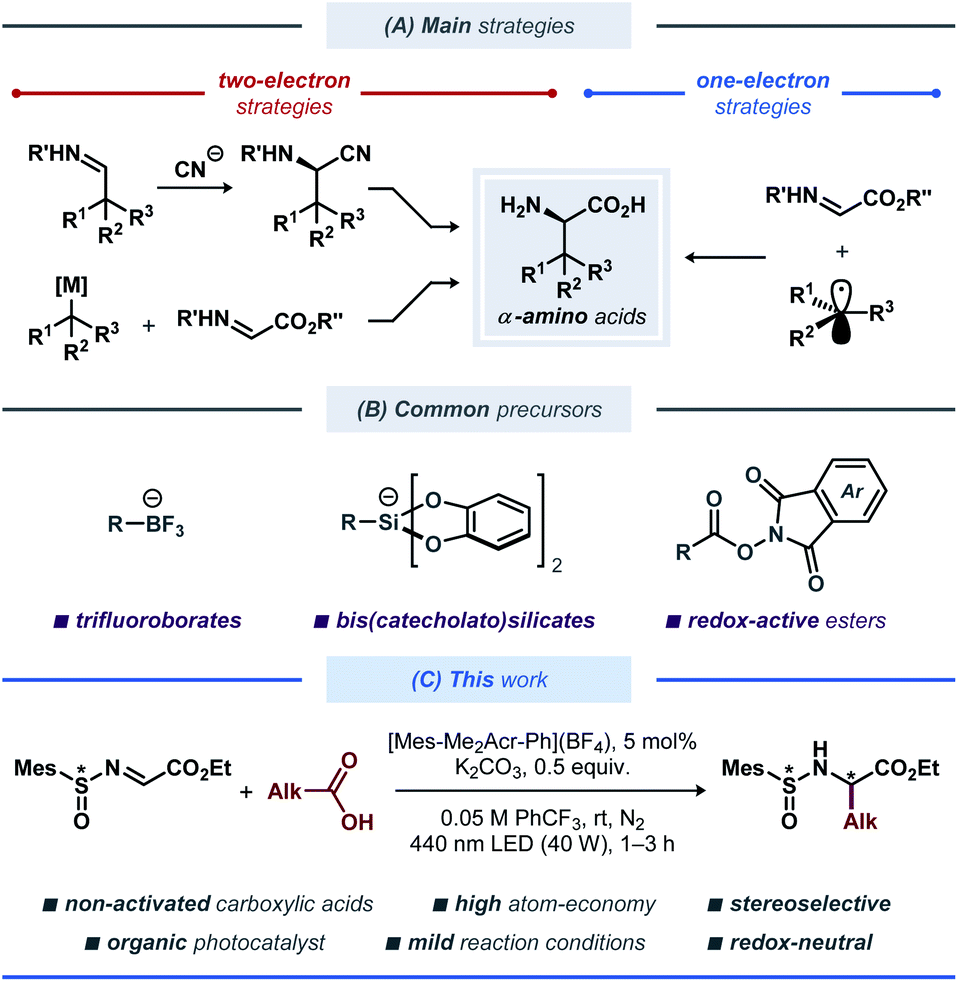 Stereoselective synthesis of unnatural αamino acid derivatives through