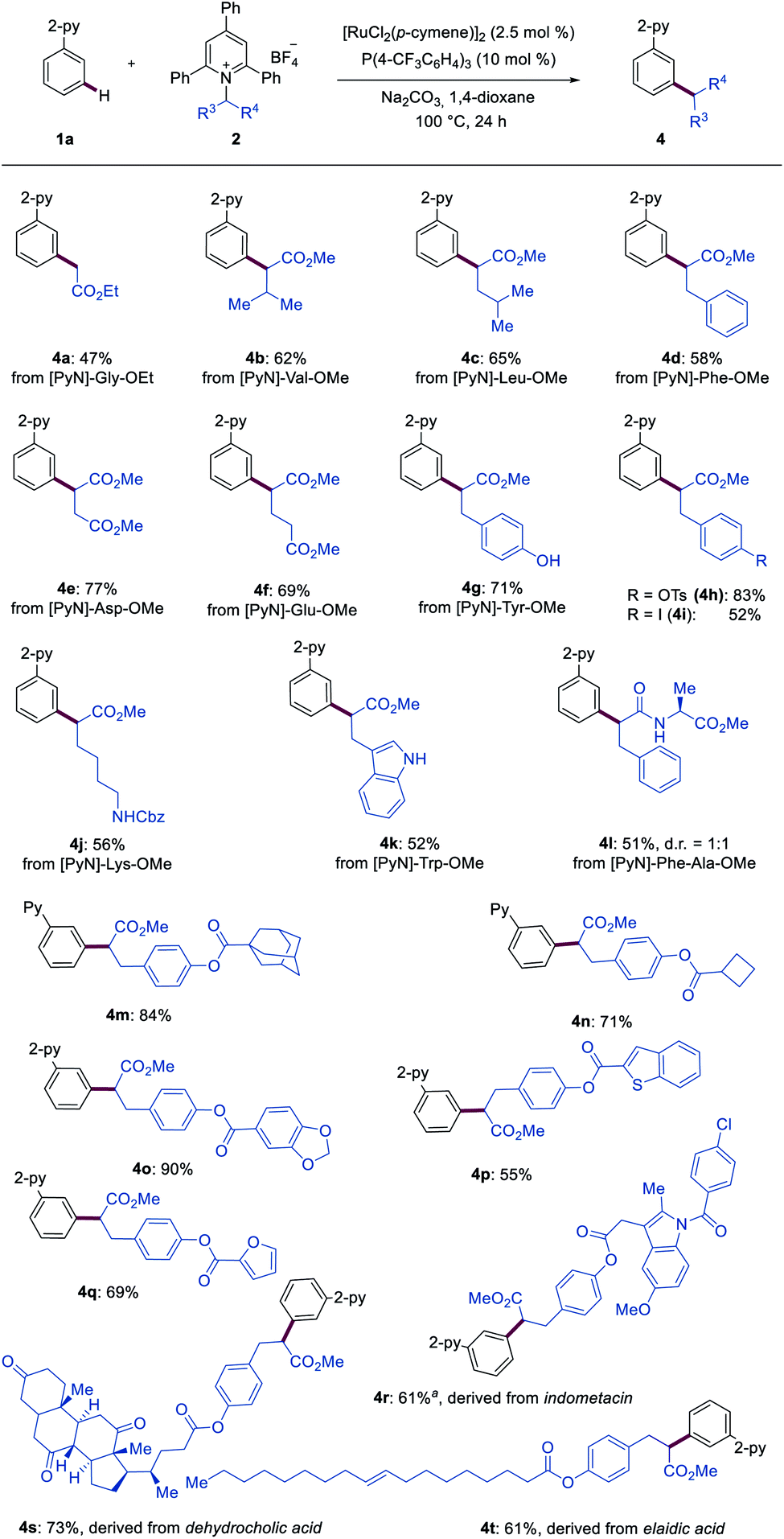 Deaminative meta CH alkylation by ruthenium( ii ) catalysis