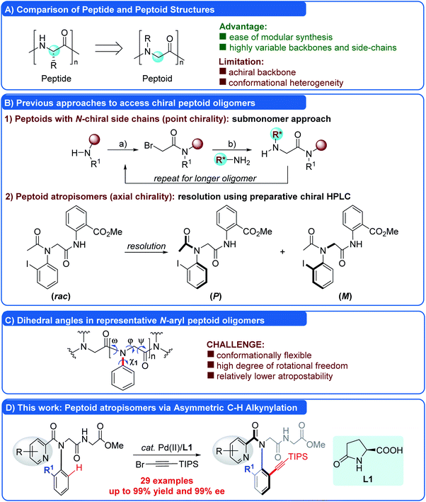 Atroposelective Synthesis Of N Aryl Peptoid Atropisomers Via A Palladium Ii Catalyzed 1448