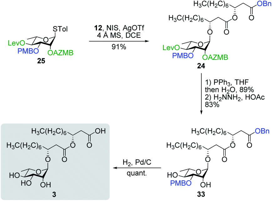 Total Synthesis Isolation Surfactant Properties And Biological Evaluation Of Ananatosides And Related Macrodilactone Containing Rhamnolipids Chemical Science Rsc Publishing