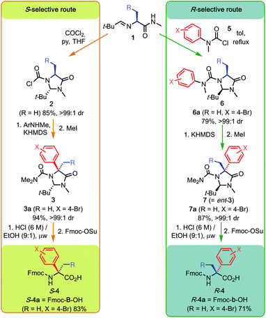 Scalable Synthesis And Coupling Of Quaternary α-arylated Amino Acids: α 