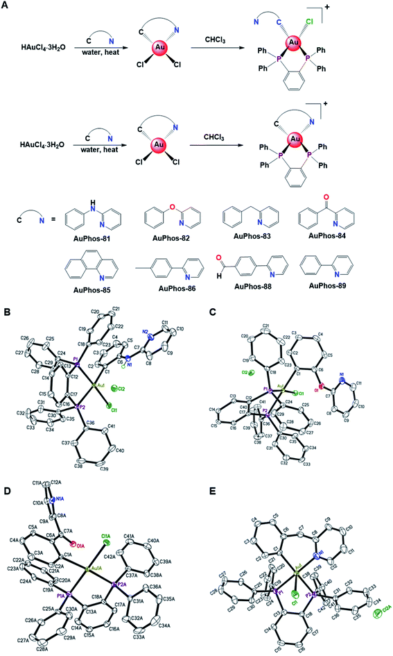 Anticancer gold( iii )-bisphosphine complex alters the mitochondrial ...